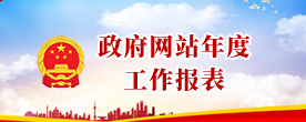 政府网站年度工作报表
